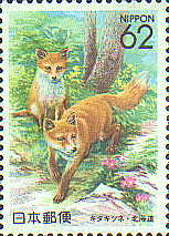 キタキツネ62円