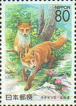 キタキツネ80円