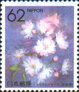 ナラノヤエザクラ